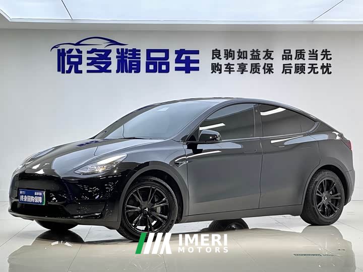Tesla Model Y rear-wheel drive version