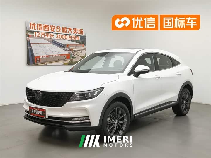 BMW Fengguang ix5 2019 220T manual smart National VI