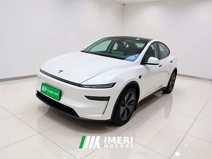 Tesla Model Y rear-wheel drive version