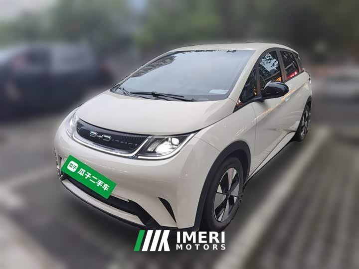 BYD Dolphin 420km Free Edition