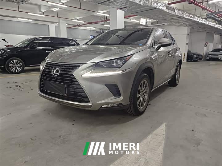 Lexus NX 2020 200 FWD Fengyi Edition National VI