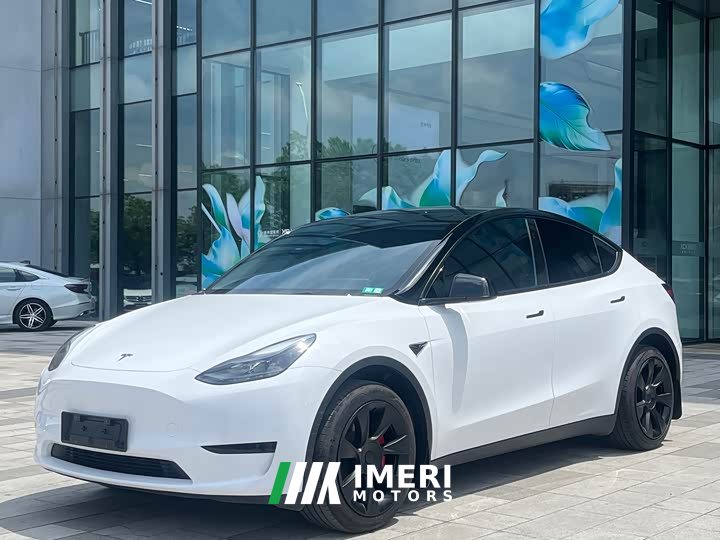 Tesla Model Y rear-wheel drive version