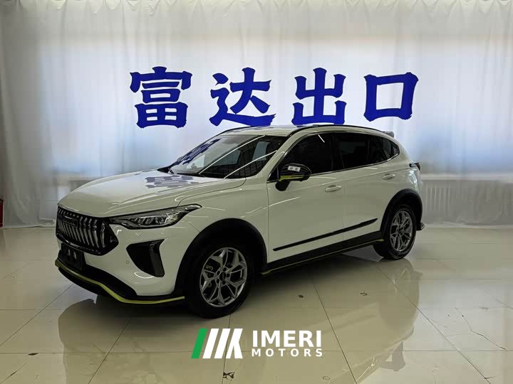 Haval Red Rabbit Exclusive Edition 1.5T Red Bronze Rabbit