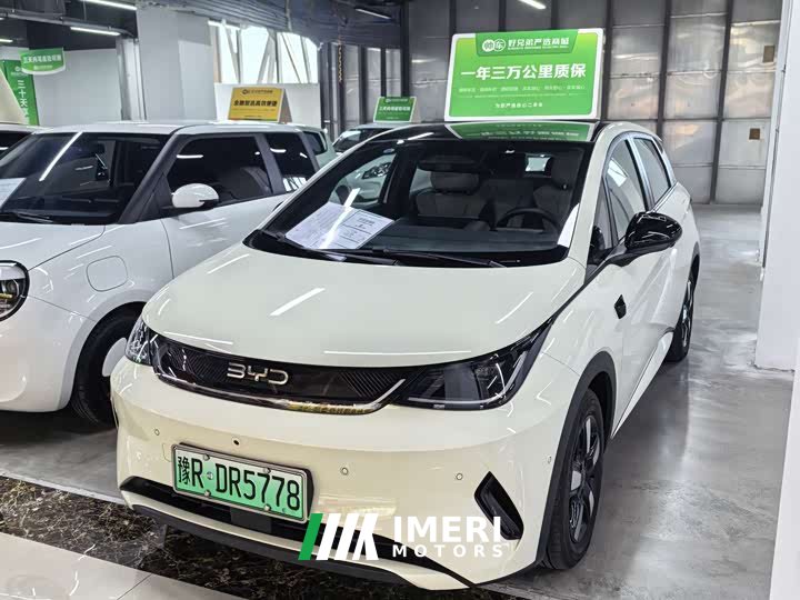 BYD Dolphin smart driving version 410km fashion version