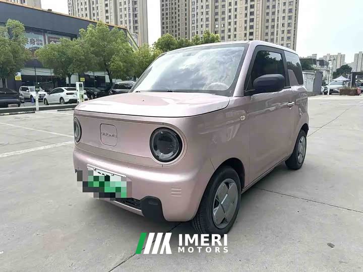 BMW Panda 2023 Panda mini 200km endurance bear