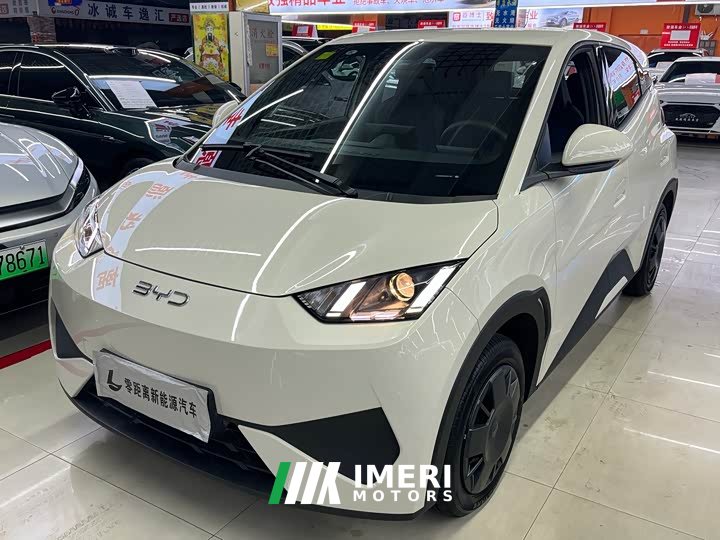 BYD Seagull Smart Driving Edition 305km Vitality Edition