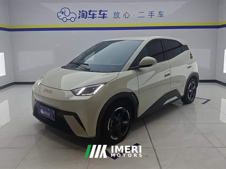 BYD Seagull Honor Edition 305km Free Edition