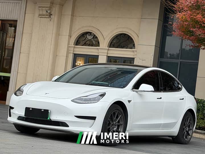 Tesla Model 3 2020 Standard Range Rear Drive Upgraded Version