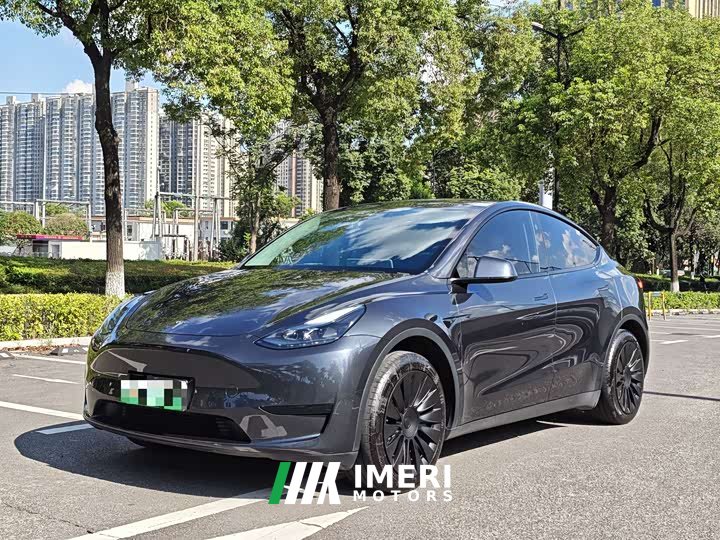 Tesla Model Y rear-wheel drive version