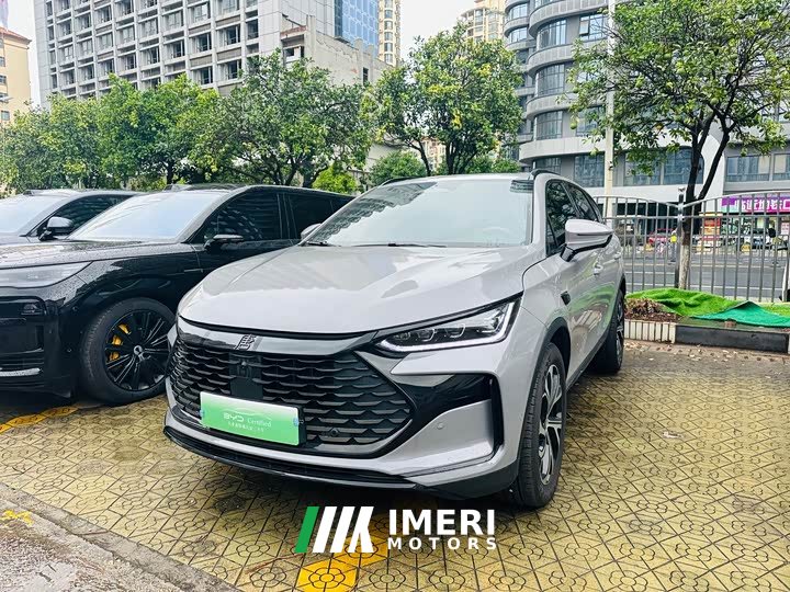 Lexus Tangxin Energy smart driving version DM-i 115KM flagship