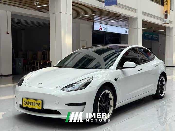 Tesla Model 3 2021 standard range rear drive upgraded version 3D6
