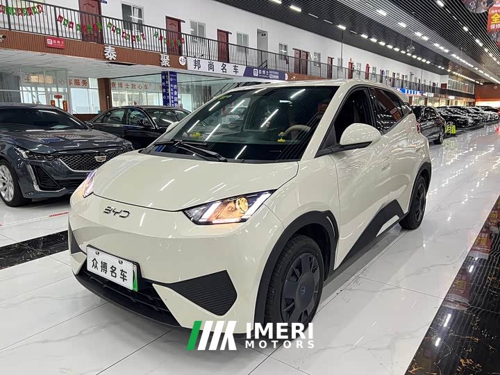 BYD Seagull 305km active version