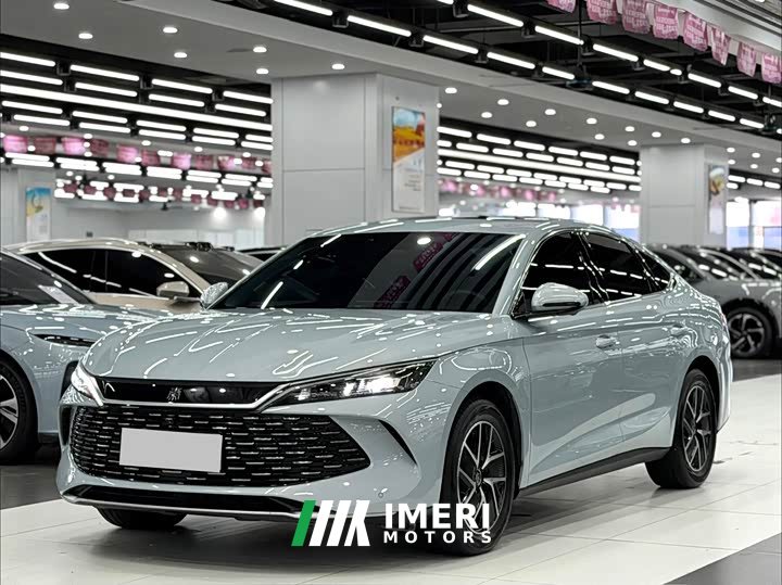 BYD Qin L 2024 DM-i 120KM transcendent