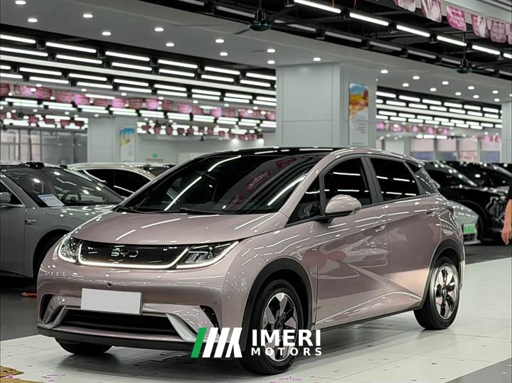 BYD Dolphin Honor Edition 420km Fashion Edition