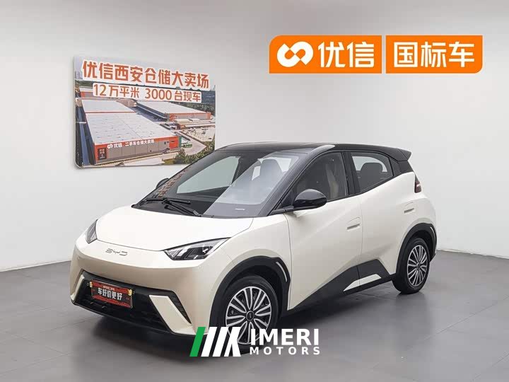 BYD Seagull 2023 Vitality Edition