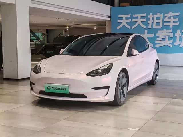 Model 3 2021 standard range rear drive upgraded version 3D6