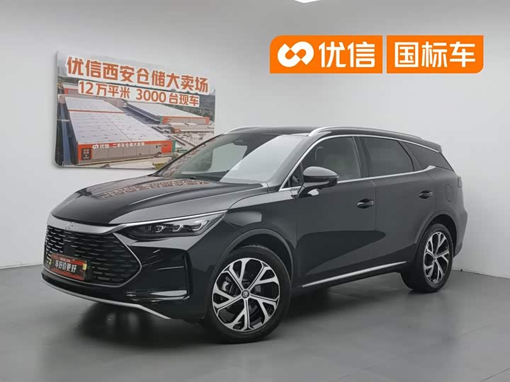 Tangxin Energy 2025 DM-i 115KM Honor Type