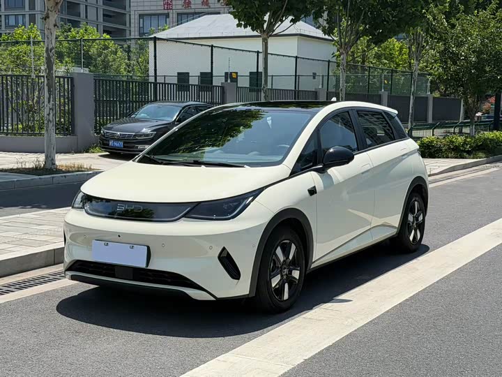Dolphin 2025 smart driving version 410km fashion version