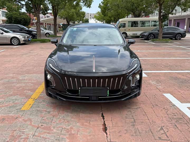 Hongqi E-QM5 2021 Charging Qixiang Edition