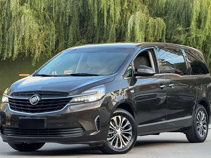 Buick GL8 2021 Land Business Class 652T Luxury