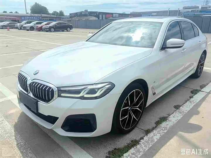 BMW 5 Series 2021 530Li Exclusive M Sports Package