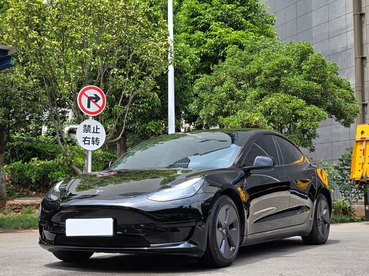Model 3 2022 rear-wheel drive version