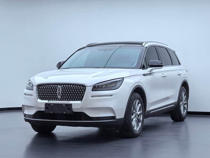 Adventurer 2021 2.0T two-wheel drive exclusive edition