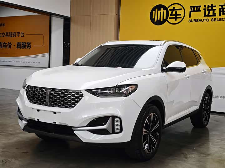 Weipai VV6 2021 2.0T 2WD Intelligent Protection