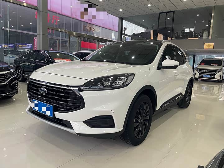Ruiji 2024 EcoBoost 245 two-wheel drive Yaoxiang model