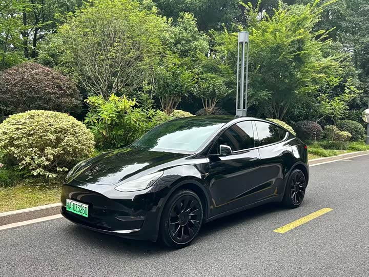 Model Y 2021 long-range all-wheel drive version