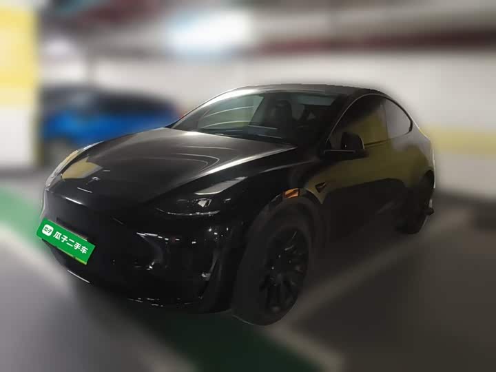 Model Y 2021 standard range rear-wheel drive version