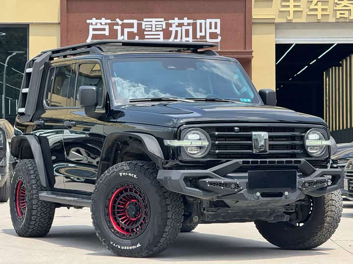 Tank 300 2023 Off-Road Version 2.0T Conqueror