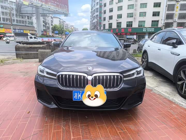 BMW 5 Series 2021 530Li Leading M Sports Package