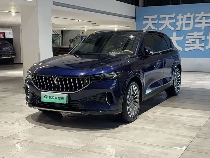 Lantu FREE 2021 four-wheel drive standard extended range version