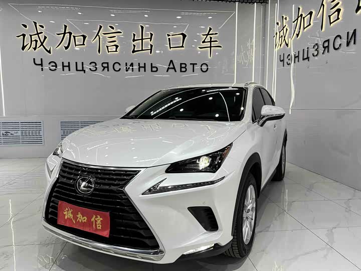 Lexus NX 2020 200 AWD Fengshang Edition National VI