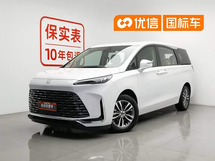 Buick GL8 2025 Land Business Class Pioneer DG-YZ Edition