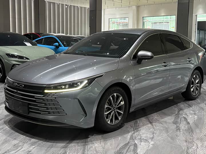 Destroyer 05 2024 Honor Edition DM-i 55KM Luxury Type