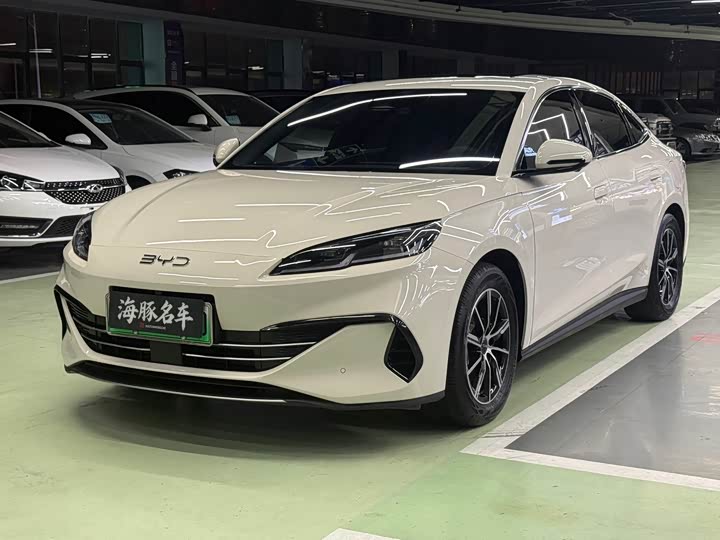 Seal 06 2024 DM-i 120KM exclusive model