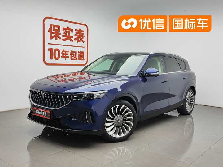 Lantu FREE 2021 four-wheel drive standard pure electric exclusive luxury package
