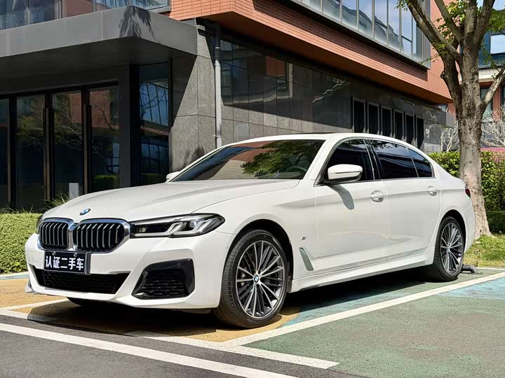 2021 BMW 5 Series 2021 530Li Leading M Sports Package