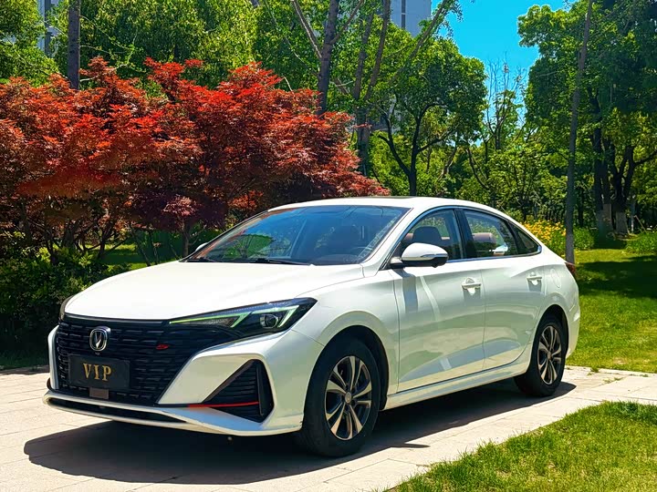 Yidong 2023 Changxiang Edition PLUS Blue Whale NE 1.4T GDI DCT Distinguished Edition