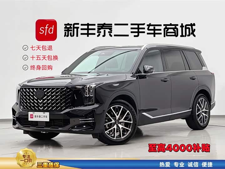 Trumpchi GS8 2025 model Pilot series 2.0TGDI two-wheel drive luxury version 5 seats