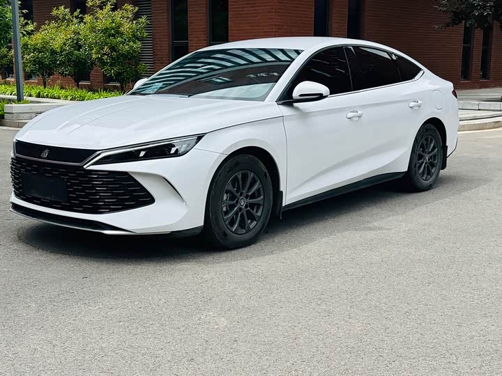 Qin L 2024 model DM-i 80KM leading model
