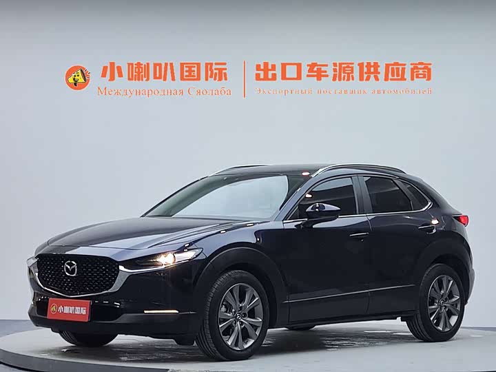 2021 MazdaCX-30 2021 Model 2.0L Automatic Jiayue Model