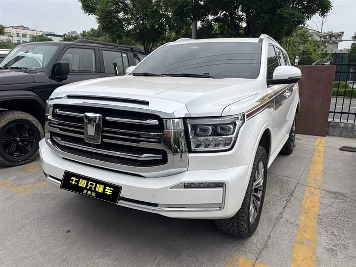 Tank 500 2022 model 3.0T sports version, environment type, 5 seats