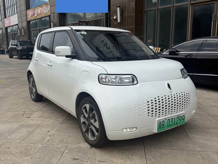 Euler White Cat 2022 upgraded version 305km luxury model ternary lithium