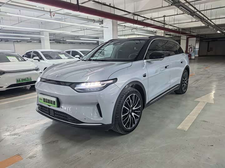 Leapmoo C11 2021 Model Executive Edition610