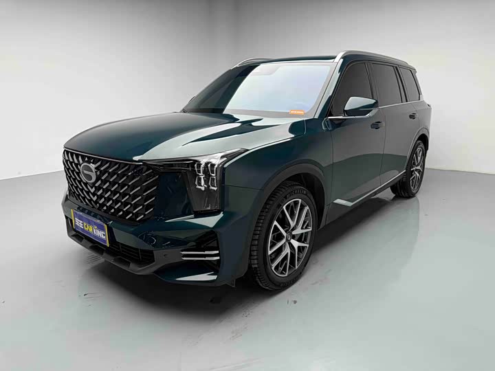 Trumpchi GS8 2025 model Pilot series 2.0TGDI two-wheel drive luxury version 5 seats