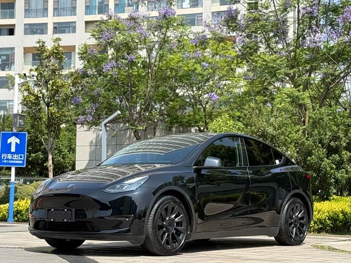 Model Y 2021 standard range rear-wheel drive version