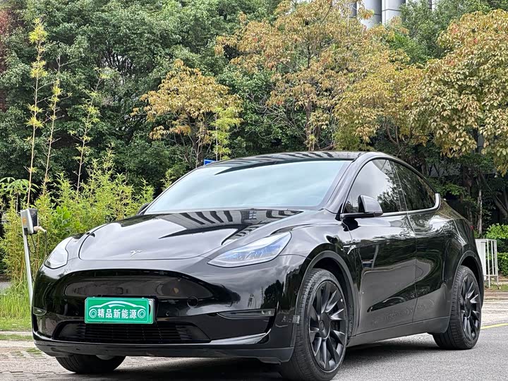 Model Y 2022 Model Long Range All-Wheel Drive Edition